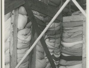 Treuhandstelle depot: Confiscated duvet and pillows (source: http://collections.jewishmuseum.cz)